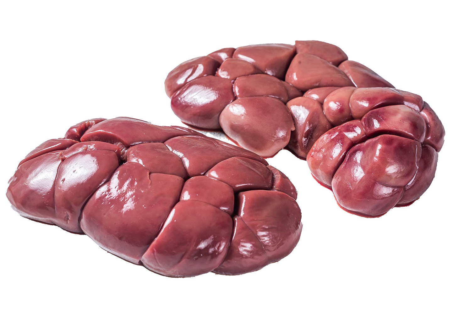 Raw Beef kidney on butcher table.  Isolated on white background